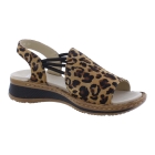 Ara 12-29005-26 bruin