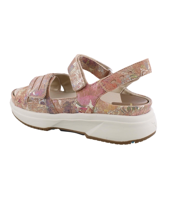 Xsensible 30706.5 Miami bruin
