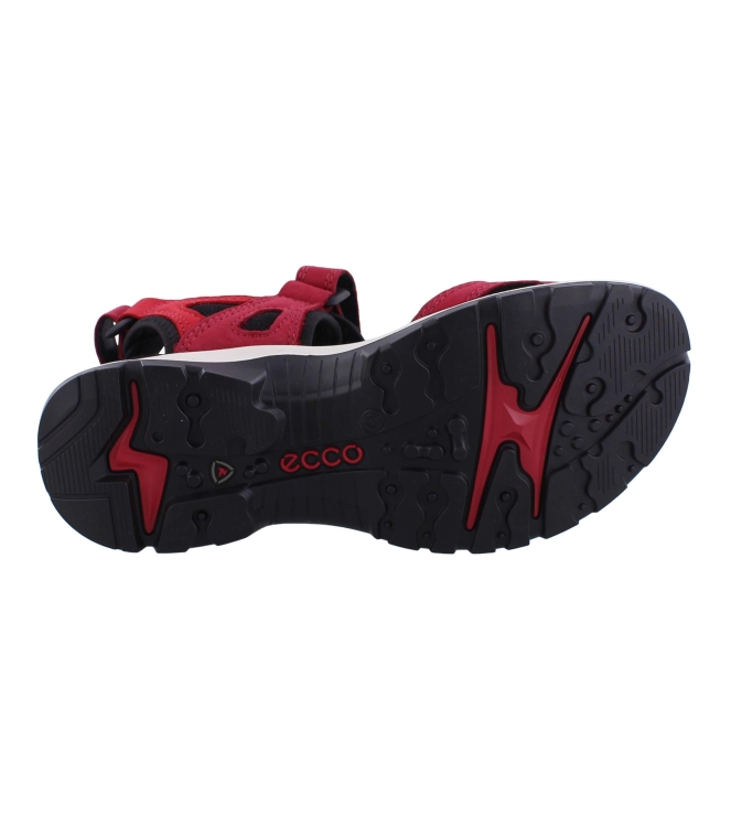 Ecco 069563 Offroad rood