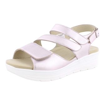 Solidus 48027 rose