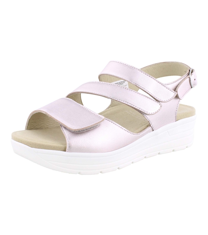 Solidus 48027 rose