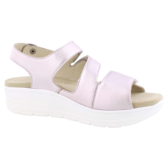 Solidus 48027 rose