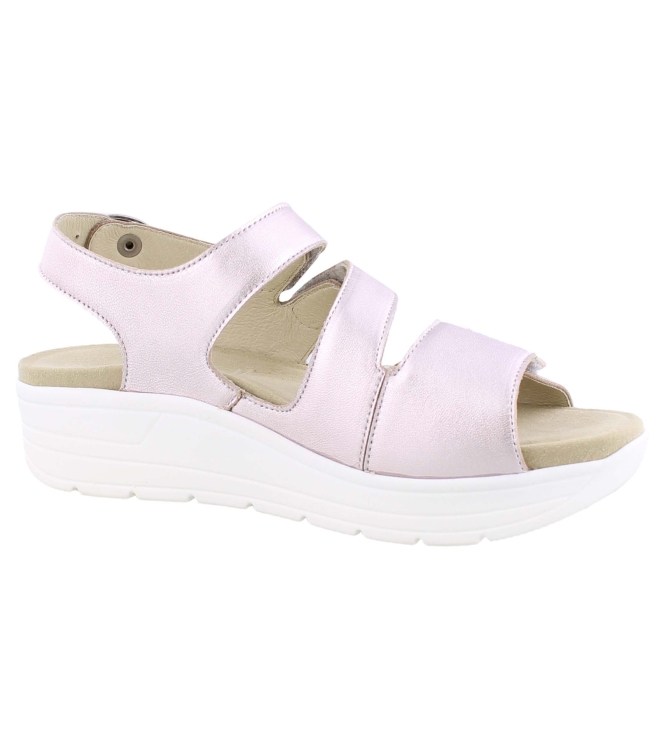 Solidus 48027 rose