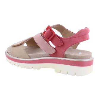 Ara 12-21006-16 rose