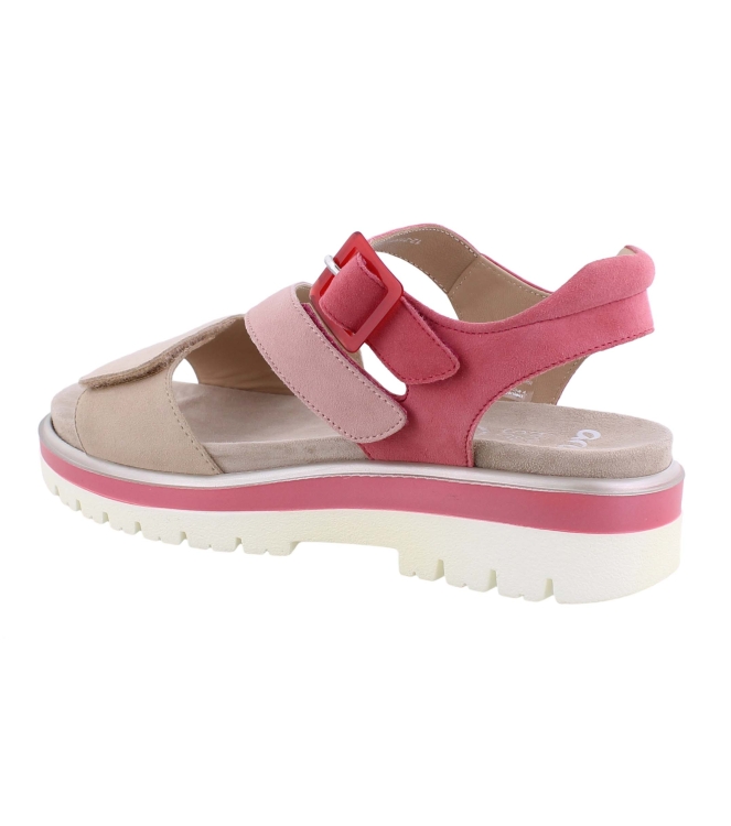 Ara 12-21006-16 rose