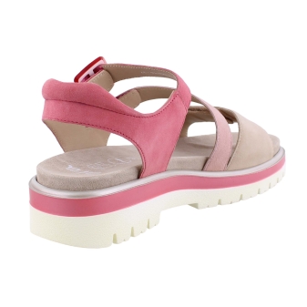 Ara 12-21006-16 rose