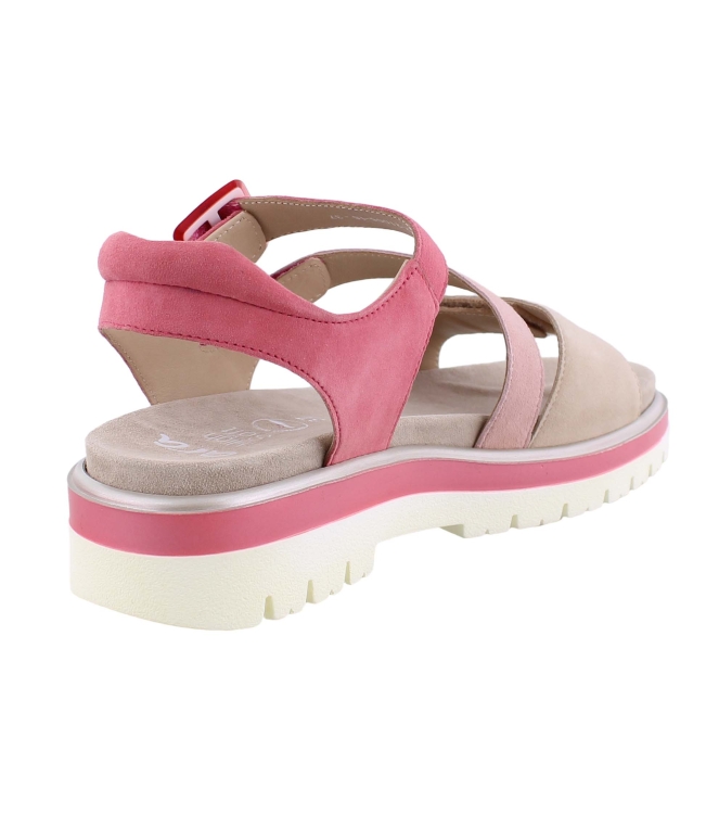 Ara 12-21006-16 rose