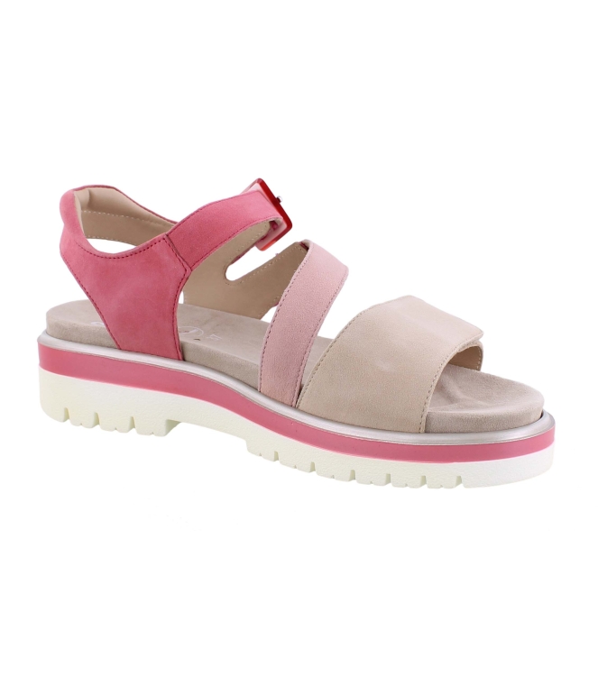 Ara 12-21006-16 rose