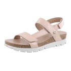 Panama Jack Selma B27 rose