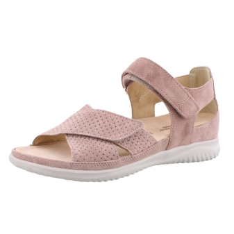 Hartjes 132.1131/99 Breeze rose
