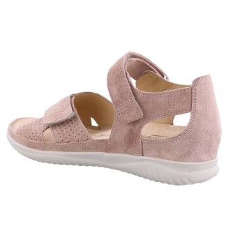 Hartjes 132.1131/99 Breeze rose