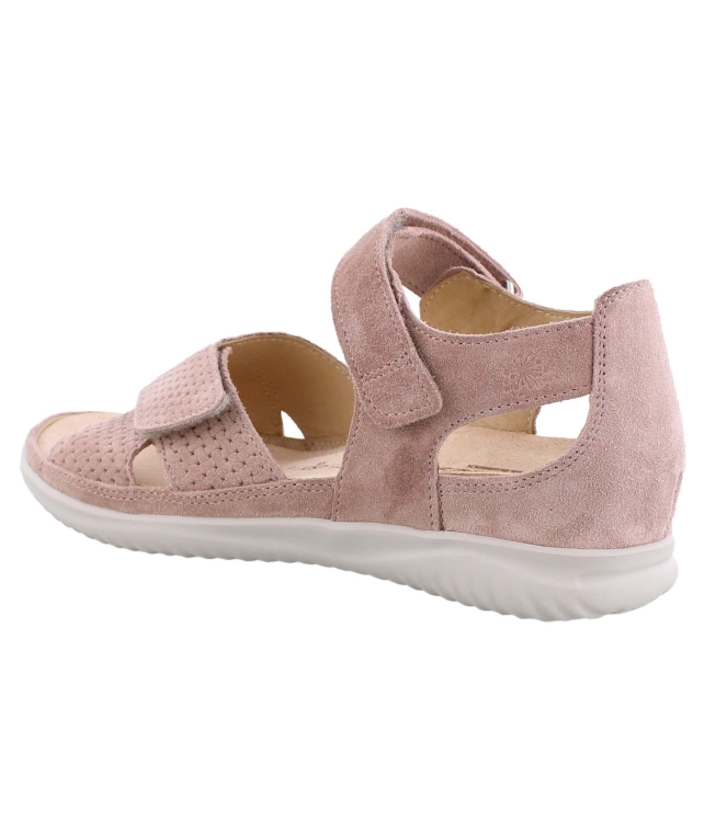 Hartjes 132.1131/99 Breeze rose