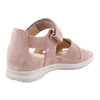 Hartjes 132.1131/99 Breeze rose