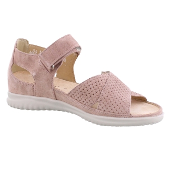 Hartjes 132.1131/99 Breeze rose