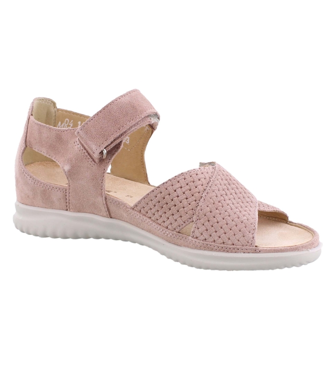 Hartjes 132.1131/99 Breeze rose