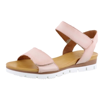 Aqa A8570 rose