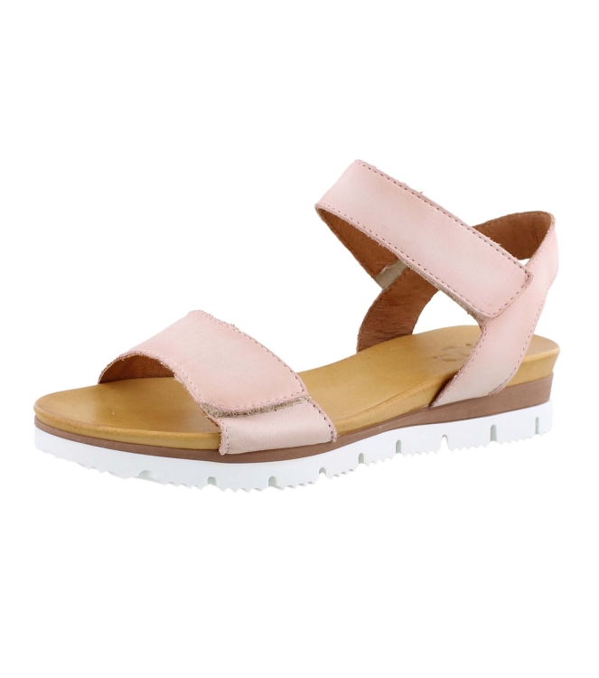 Aqa A8570 rose