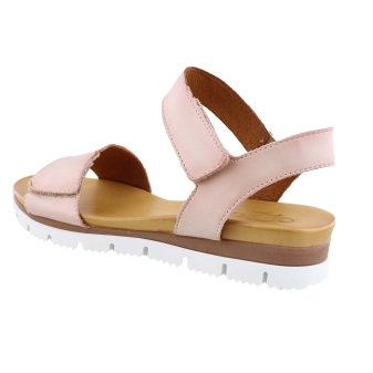 Aqa A8570 rose