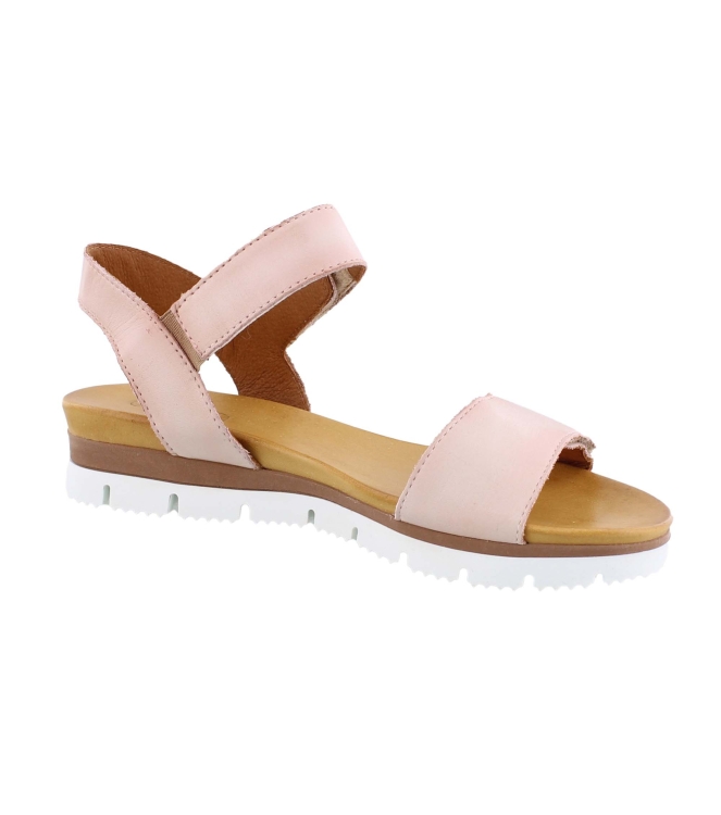Aqa A8570 rose