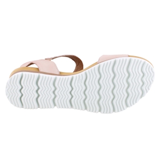 Aqa A8570 rose