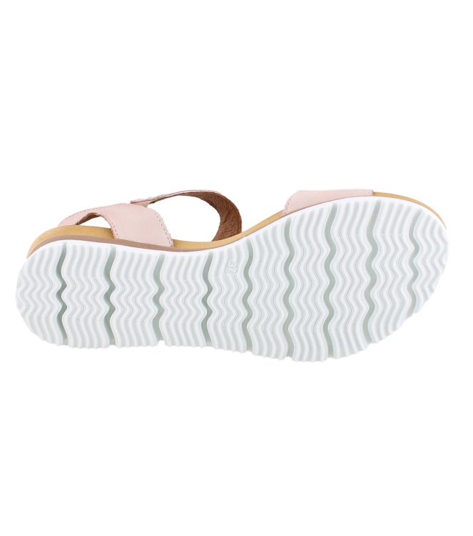 Aqa A8570 rose