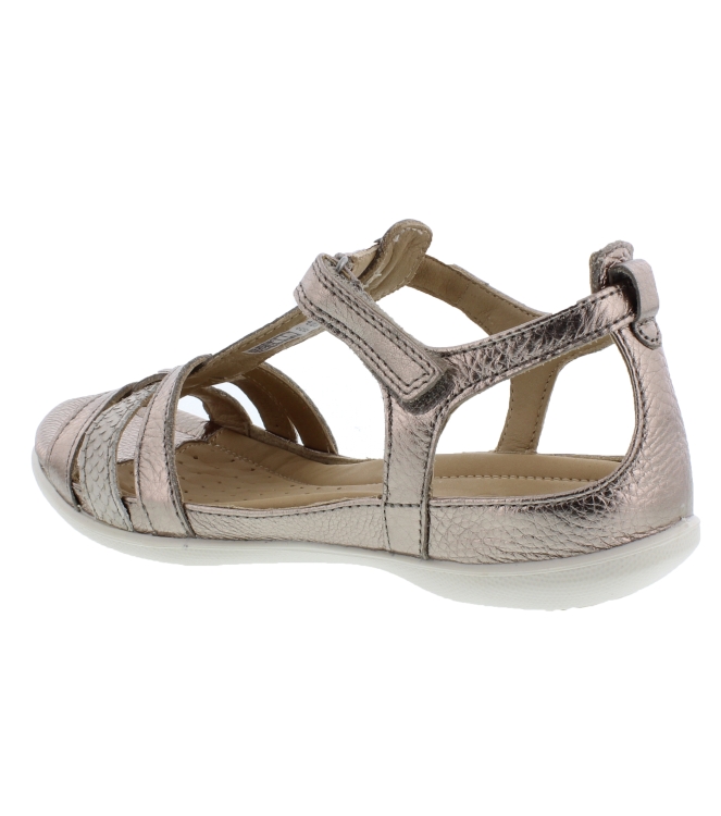 Ecco 240873 goud