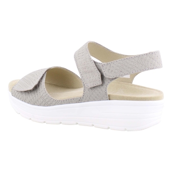 Solidus 48000 beige