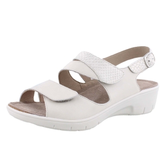 Solidus 24004 beige