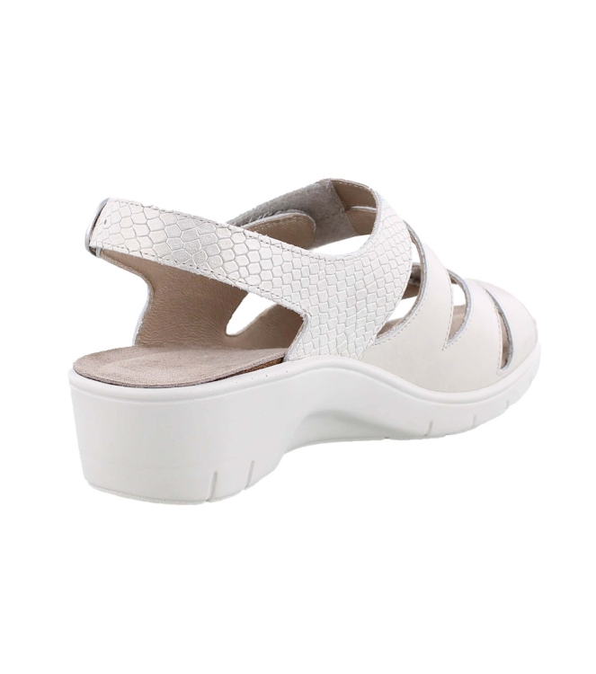Solidus 24004 beige