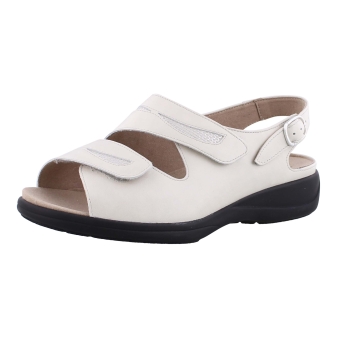 Solidus 73113 beige