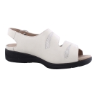 Solidus 73113 beige