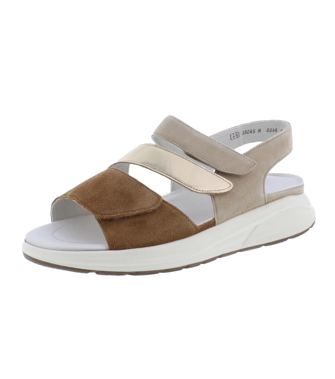 Solidus 38049 Hetty bruin