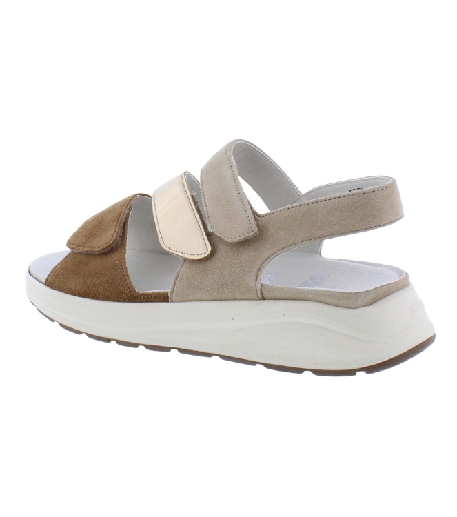 Solidus 38049 Hetty bruin