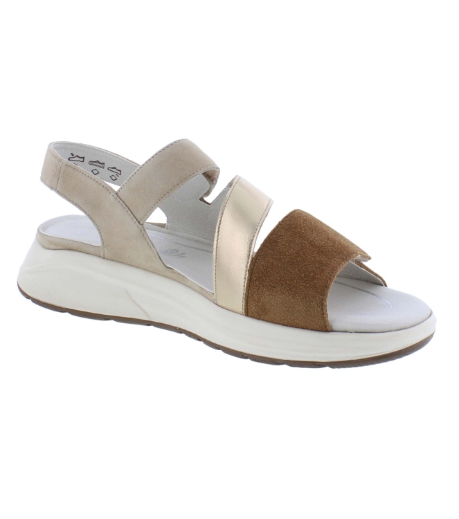 Solidus 38049 Hetty bruin