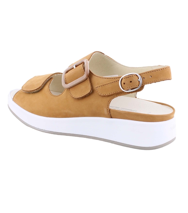 Solidus 75032 bruin