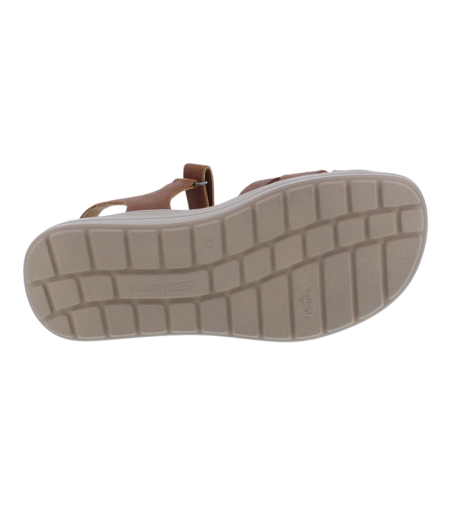 Hartjes 132.2004/10 cognac