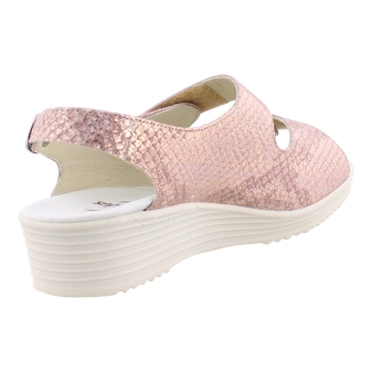 Solidus 50008 rose