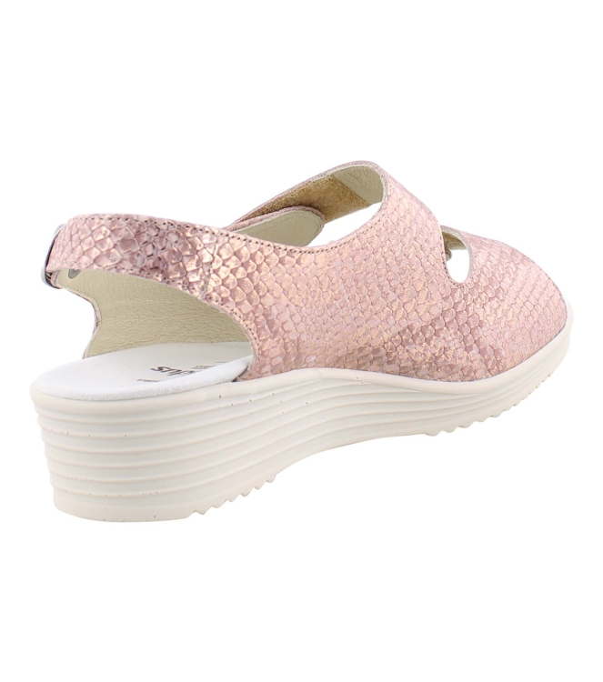 Solidus 50008 rose