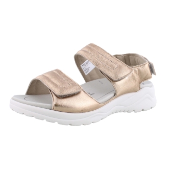 Solidus 62216 brons