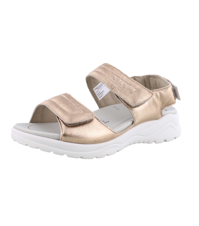 Solidus 62216 brons
