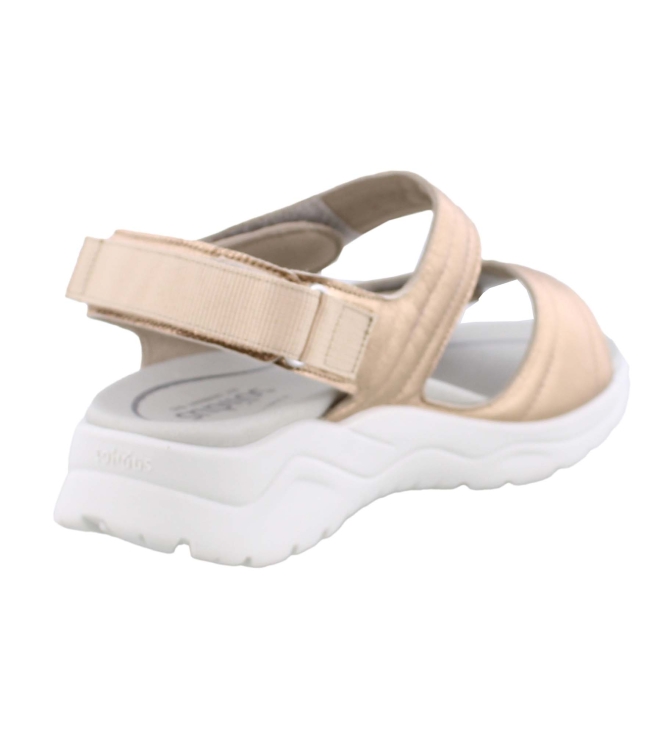 Solidus 62216 brons