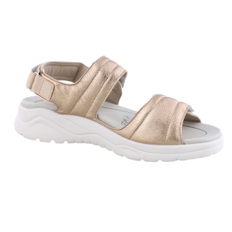 Solidus 62216 brons