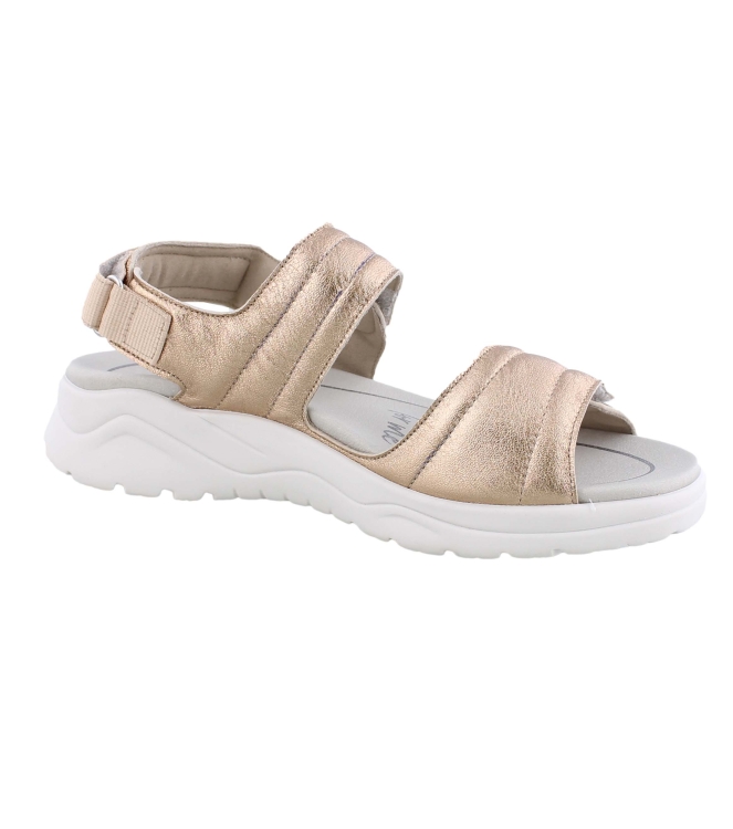 Solidus 62216 brons