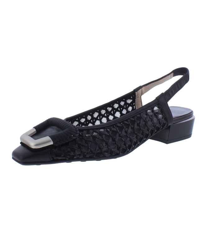 Hispanitas RHV264658 Azucena zwart