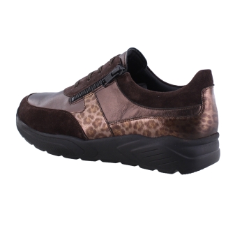 Solidus 43025 Mia bruin