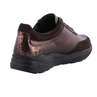 Solidus 43025 Mia bruin