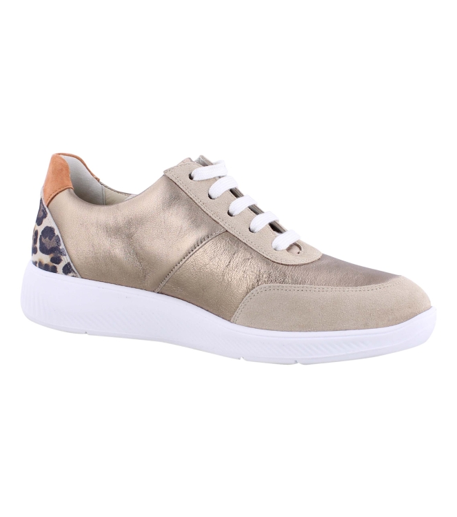 Solidus 65019 Kalea brons