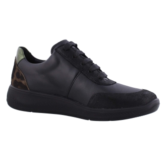 Solidus 56287 Halea zwart