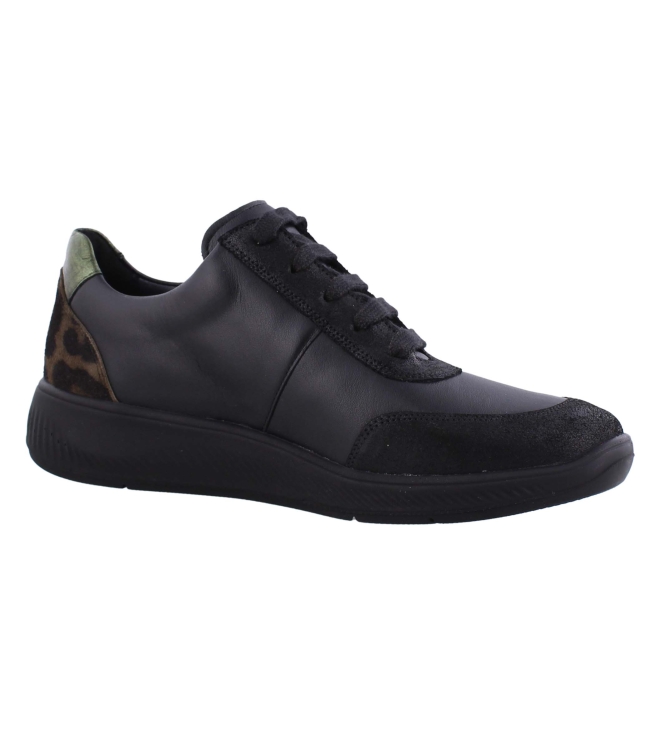 Solidus 56287 Halea zwart