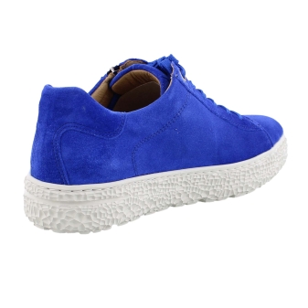 Hartjes 162.1401/39 Phil blauw